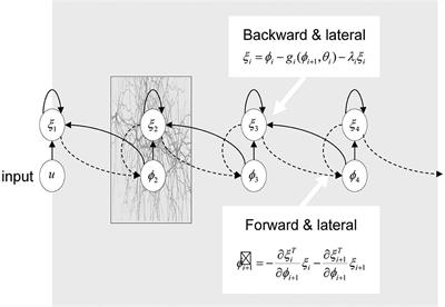 The modulating effect of lexical predictability on perceptual learning of degraded speech